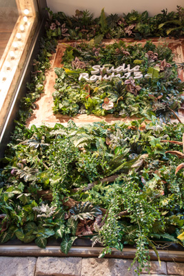 フェイクグリーン(壁面緑化)