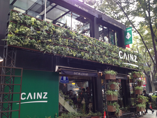 フェイクグリーン(壁面緑化)