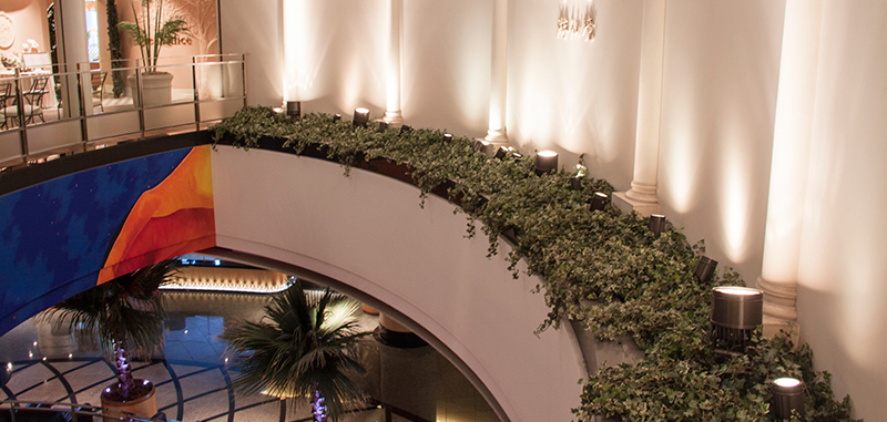 フェイク マグプランツ(壁面緑化)