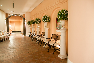 フェイク マグプランツ(壁面緑化)