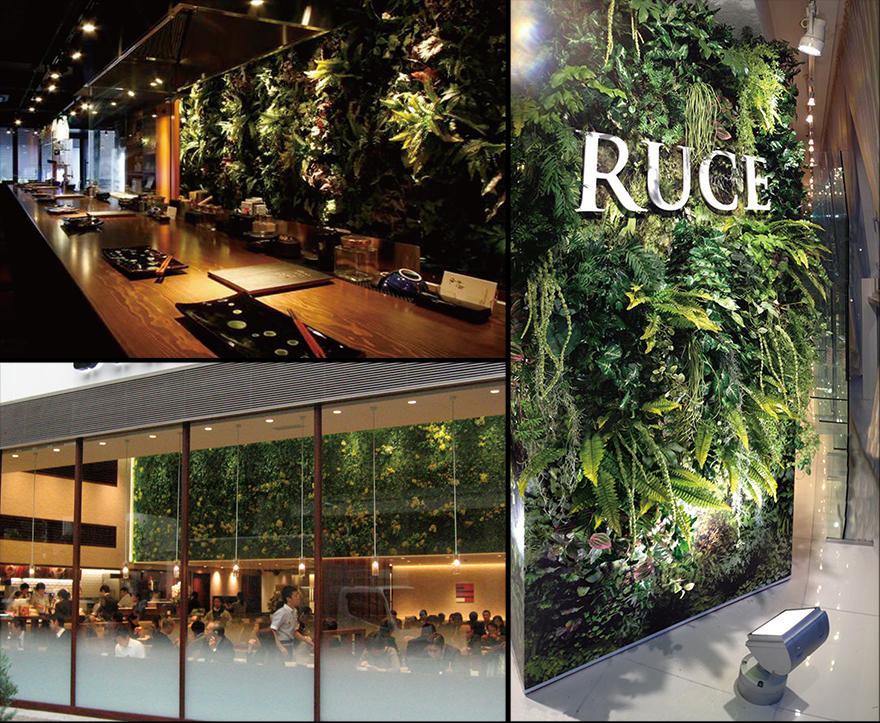 フェイク マグプランツ(壁面緑化)