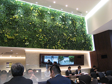 フェイク マグプランツ(壁面緑化)