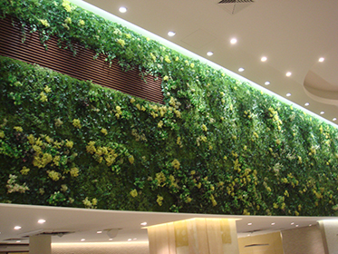 フェイク マグプランツ(壁面緑化)