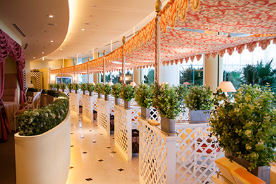 フェイク マグプランツ(壁面緑化)