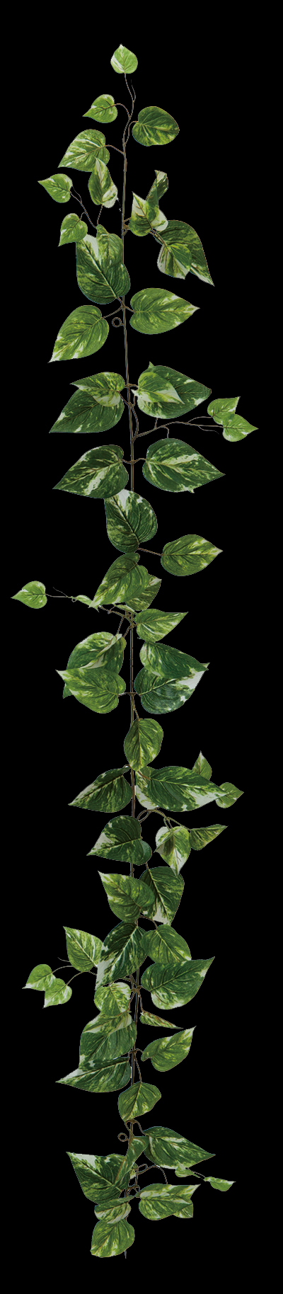 フェイク アーティシャルグリーン(壁面緑化)