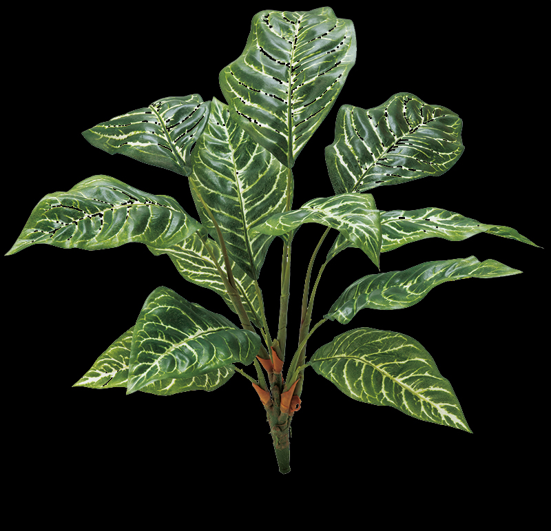 フェイク アーティシャルグリーン(壁面緑化)