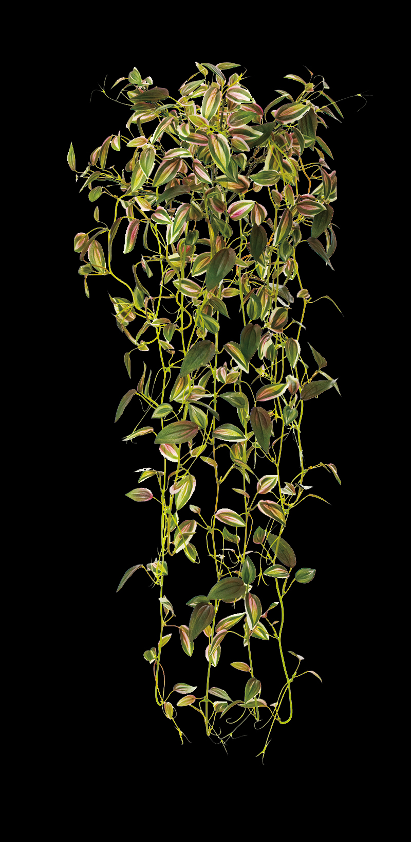 フェイク アーティシャルグリーン(壁面緑化)