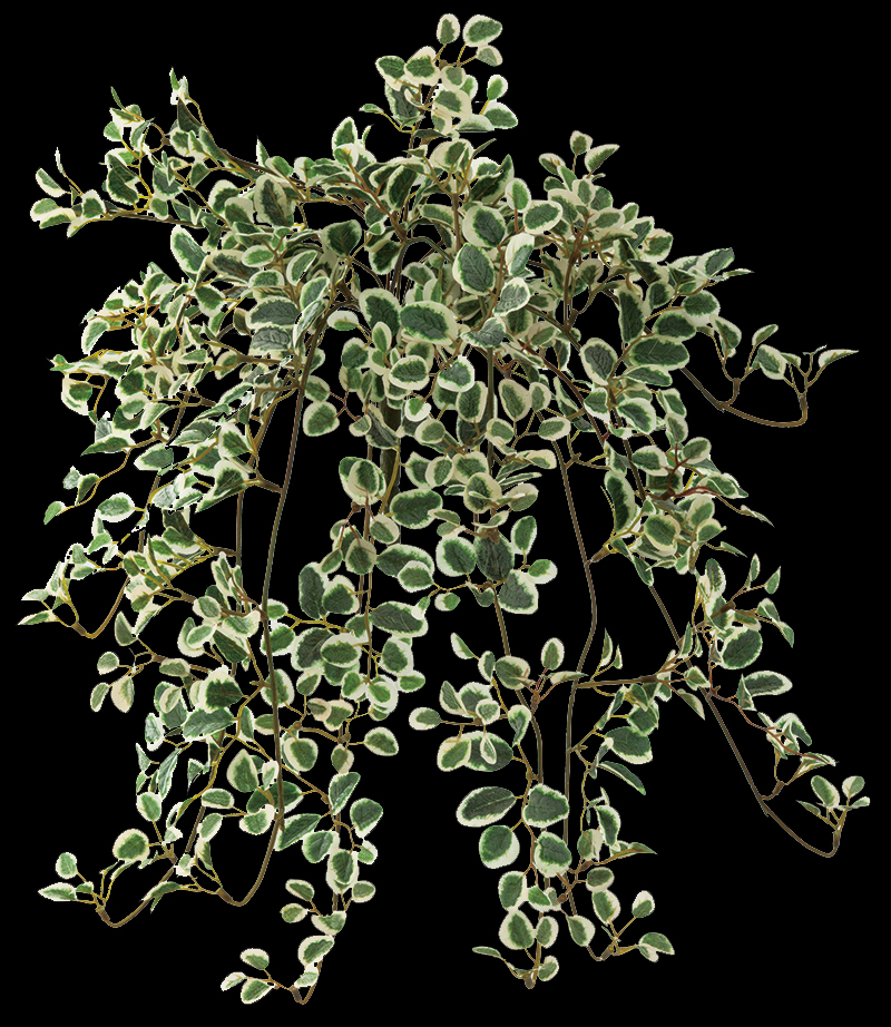 フェイク アーティシャルグリーン(壁面緑化)