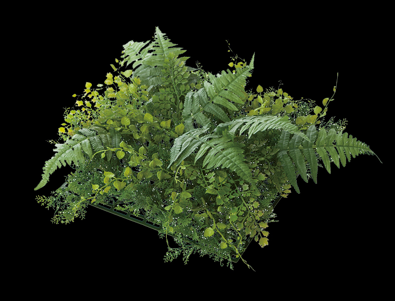 フェイク アーティシャルグリーン(壁面緑化)