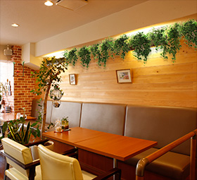 フェイク ロックプランツ(壁面緑化)