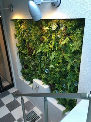 フェイク マグプランツ(壁面緑化)