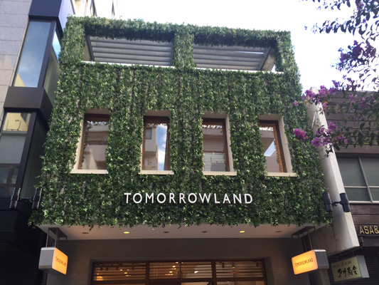 フェイク マグプランツ(壁面緑化)