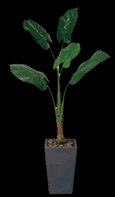 フェイク 立ち木(壁面緑化)