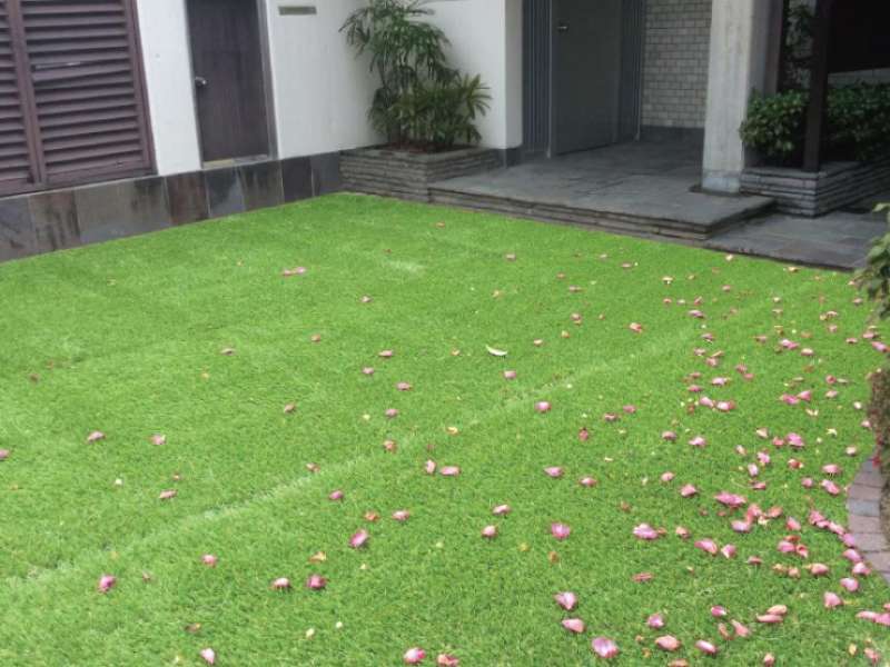 ハーモニー ターフ リアル カタログ