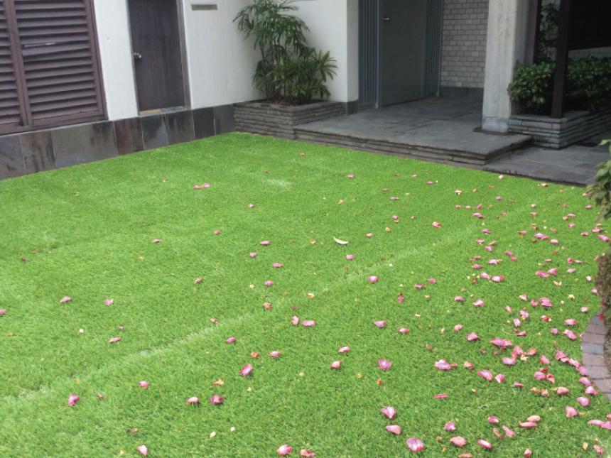 ハーモニーターフ リアル