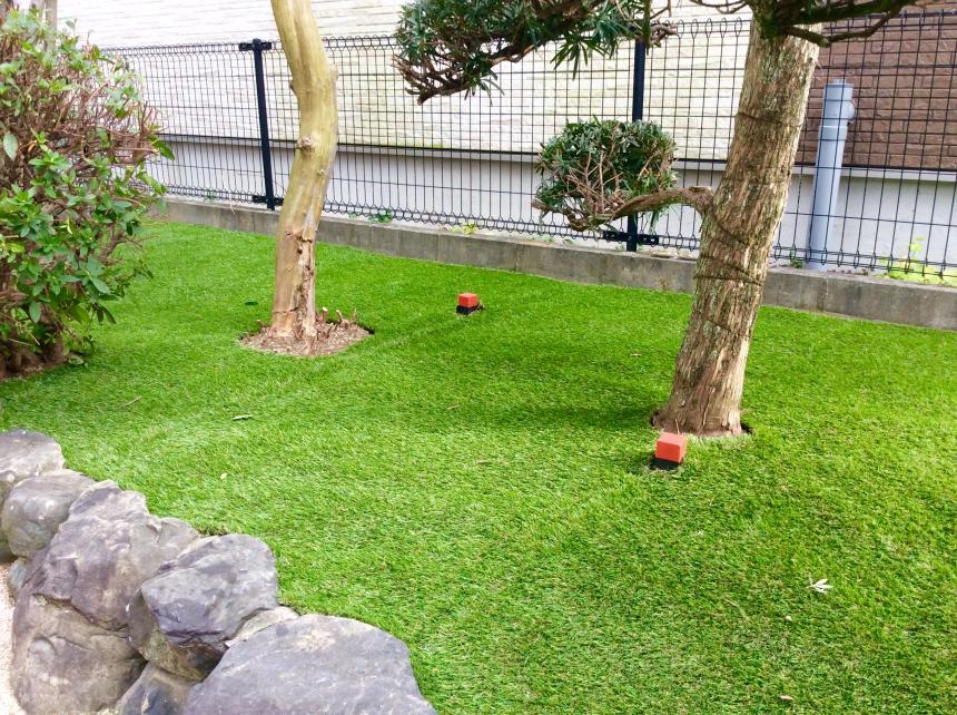 ハーモニーターフ リアル