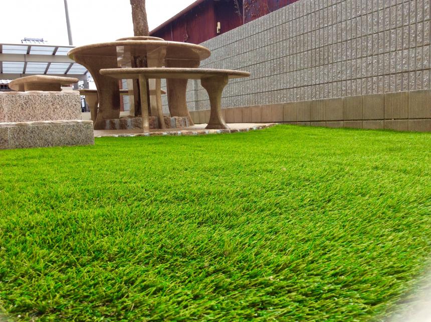 ハーモニーターフ リアル