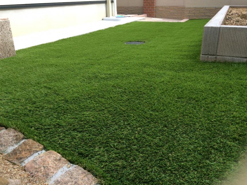 ハーモニーターフ リアル