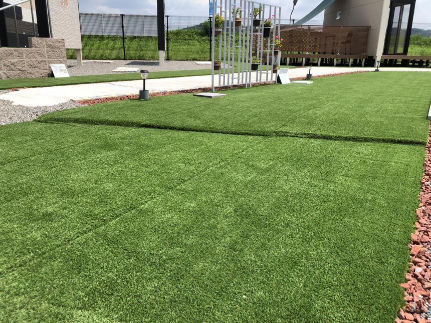 ハーモニーターフ ソフト