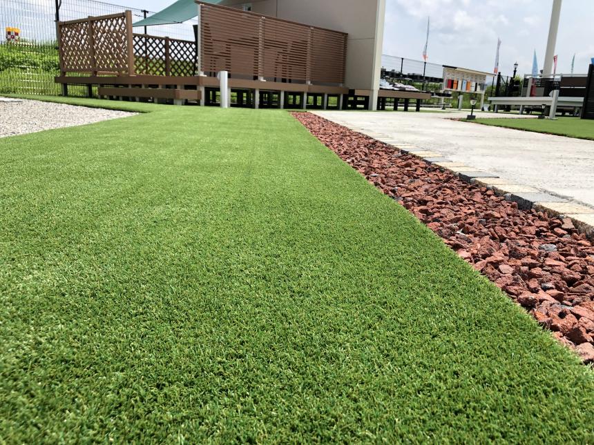 ハーモニーターフ ソフト