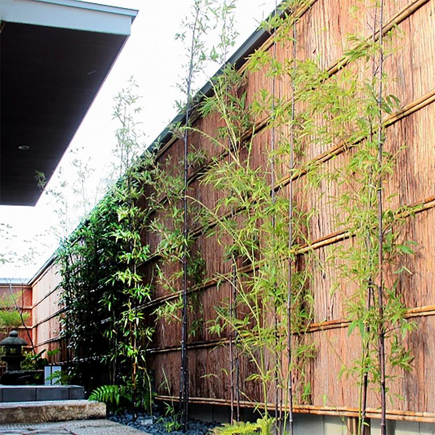 天然竹垣ユニット