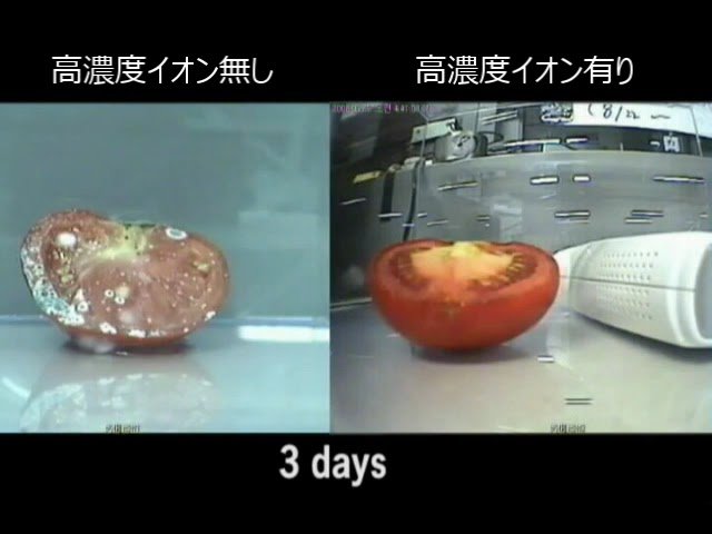 ECO床暖ion+ カビ防止実証実験【株式会社オンレイ】