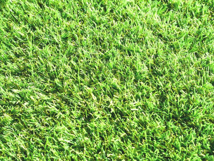 デラックス芝丈 28mm