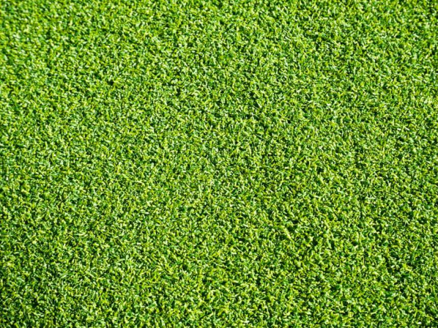 カールタイプ芝丈 16mm