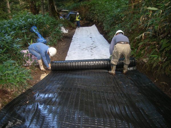 パラウェブ・マット