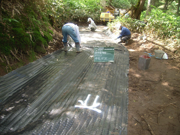 パラウェブ・マット