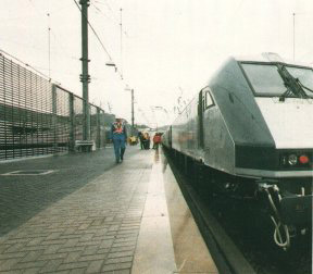 【パラウェブ・フェンス】