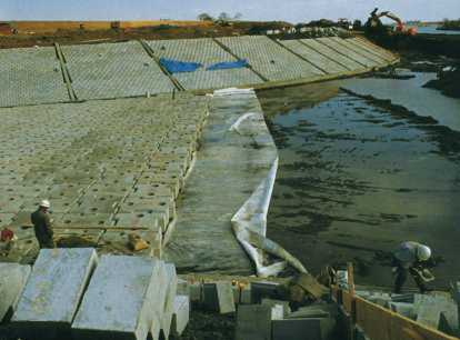 テラム・ミニパック