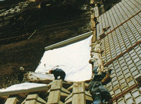 テラム・ミニパック