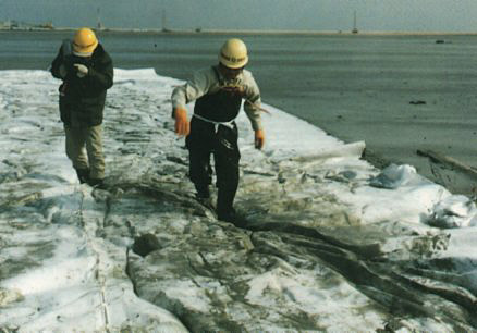 テラム・ミニパック