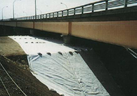 テラム・ミニパック