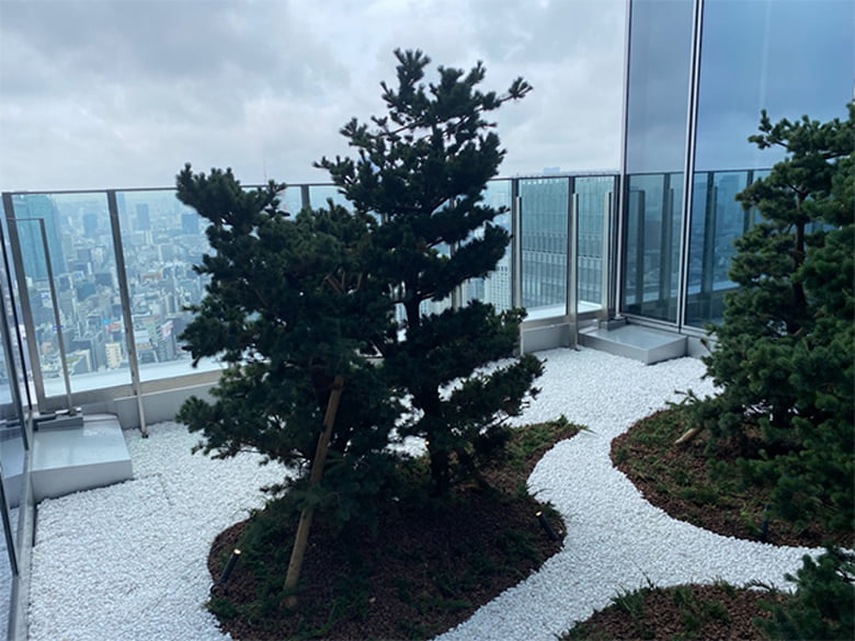 砂紋デザイン コーティング