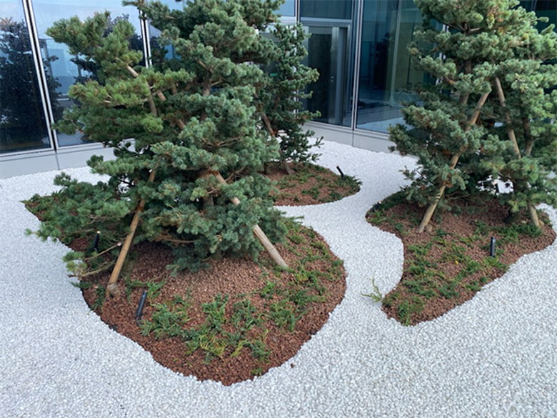 砂紋デザイン コーティング