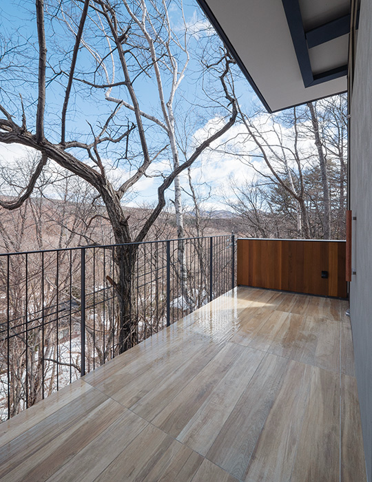 木目調 磁器質タイル