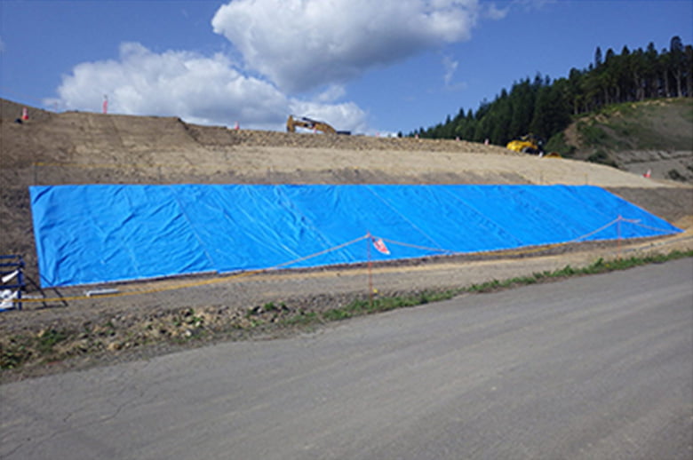 フナイ 特注品カバー
