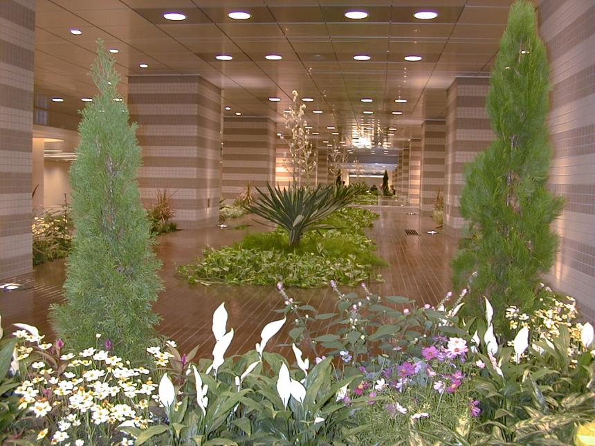 【セルフネン不燃木材】SUS▲NOH(スサノヲ) 国土交通大臣認定