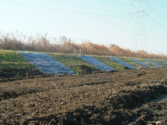 RCF®防根・防竹シート