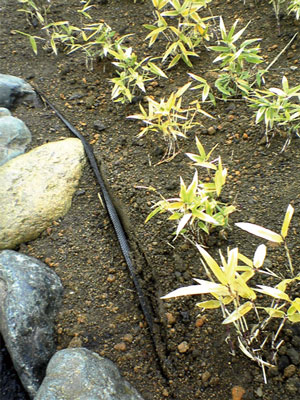 RCF®防根・防竹シート