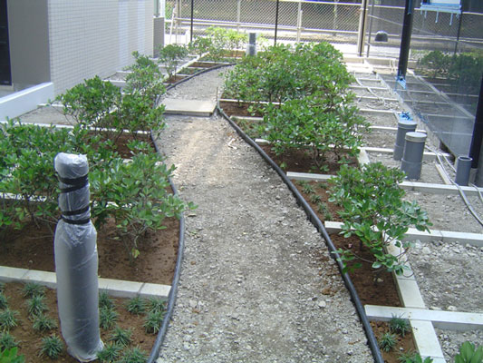 リサイクルエッジング® 見切材