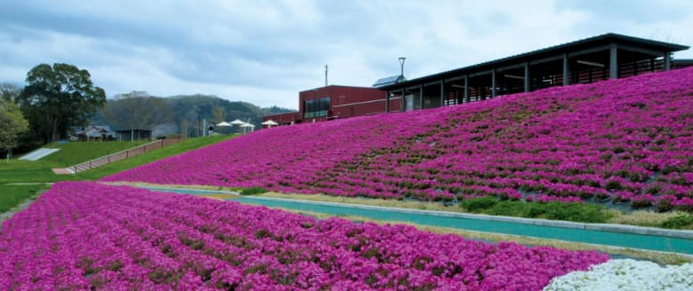 植栽オープナー® / 株式会社グリーンフィールド