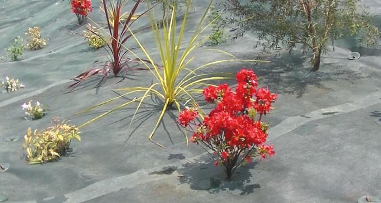 植栽オープナー® / 株式会社グリーンフィールド