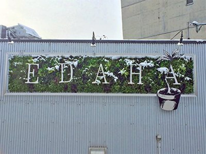 ～店舗演出に～人工壁面緑化パネル【ビスタフォリア®】