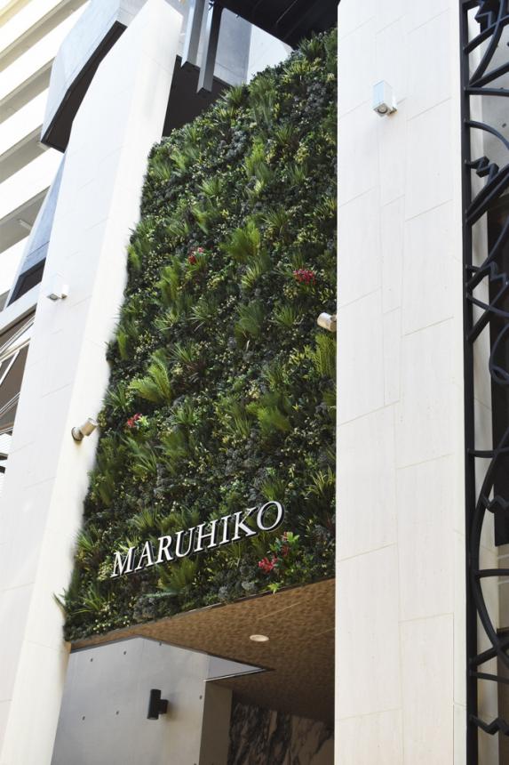 ～店舗演出に～人工壁面緑化パネル【ビスタフォリア®】