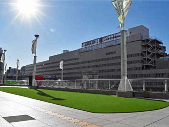 【リアリーターフ®】ミドル+(プラス) 25mm