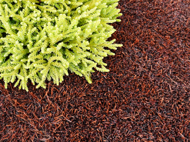 【リアリーターフ®】マスターズバーク60mm