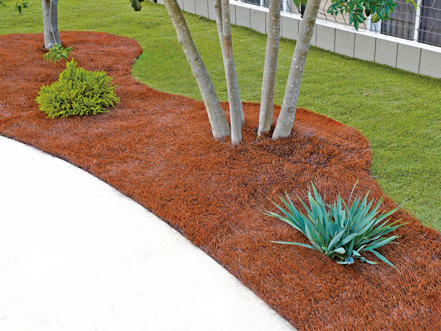 【リアリーターフ®】マスターズバーク60mm